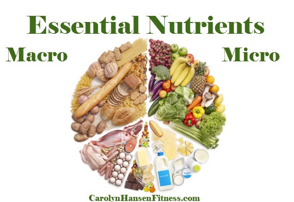 micro macro nutrients goals macronutrient meal planner