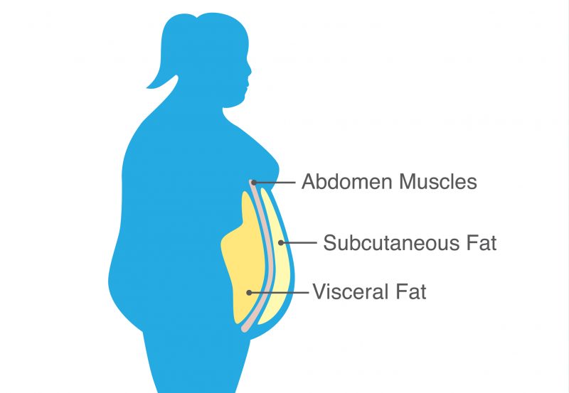 Dangerous Visceral Fat – Carolyn Hansen Fitness